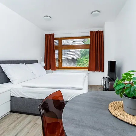 Apartment V Podebradech Podebrady