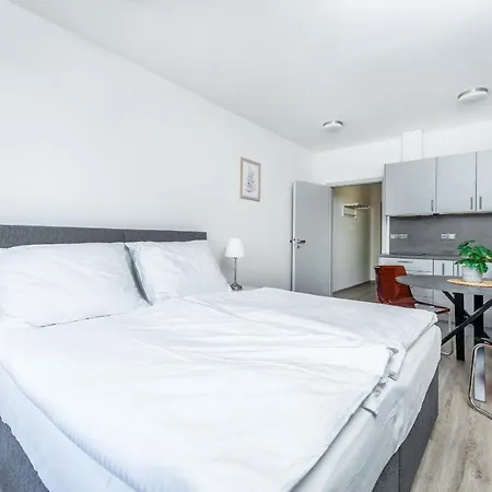 V Podebradech Apartment