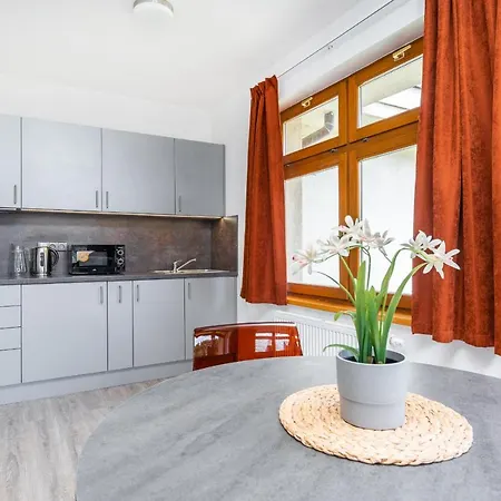V Podebradech Apartment *