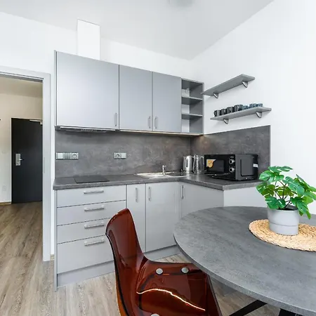 V Podebradech Apartment Podebrady
