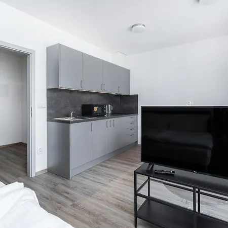 V Podebradech Apartment