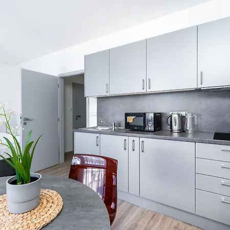 公寓 V Podebradech