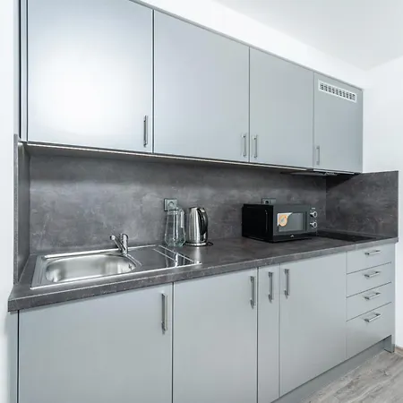 V Podebradech Apartment