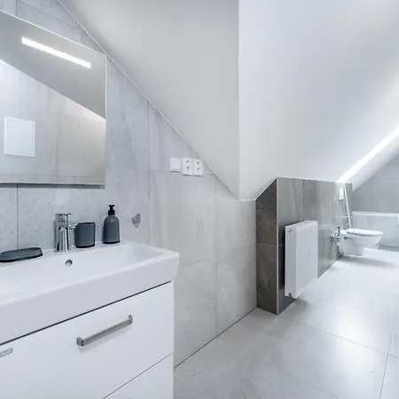 公寓 V Podebradech 波杰布拉迪