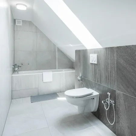 V Podebradech 公寓 波杰布拉迪