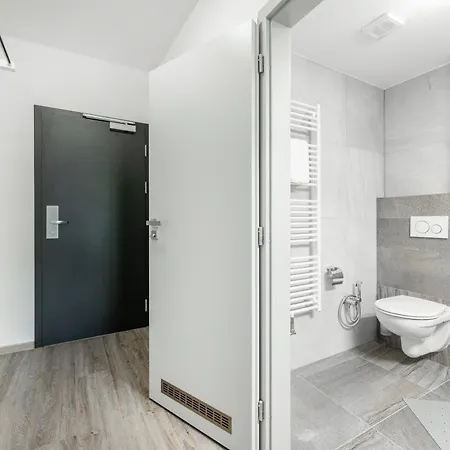 V Podebradech 公寓 *