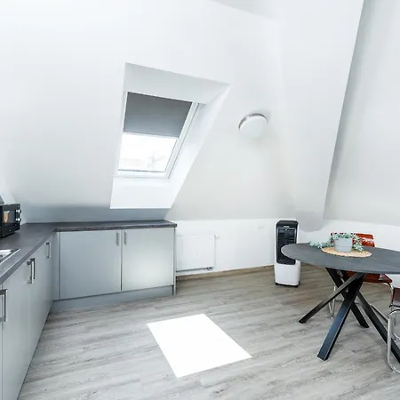 公寓 V Podebradech 波杰布拉迪