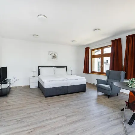 V Podebradech 公寓 波杰布拉迪