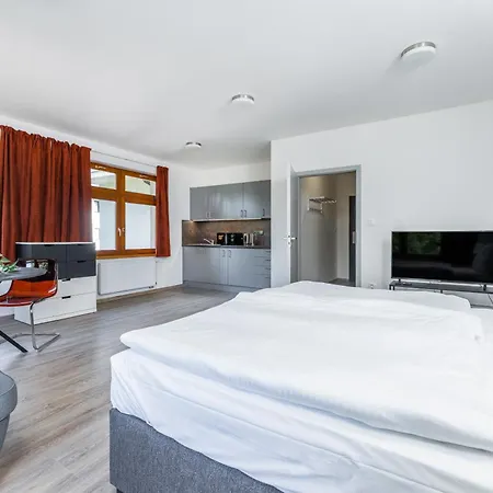 V Podebradech Apartment Podebrady
