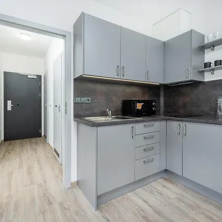 公寓 V Podebradech 波杰布拉迪