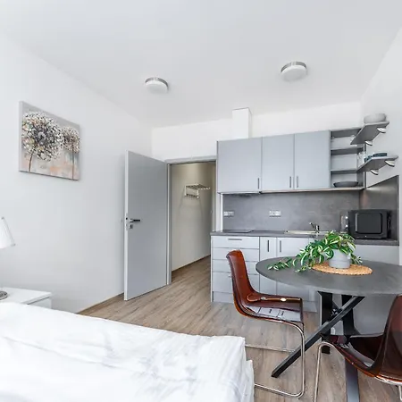 V Podebradech 公寓 *