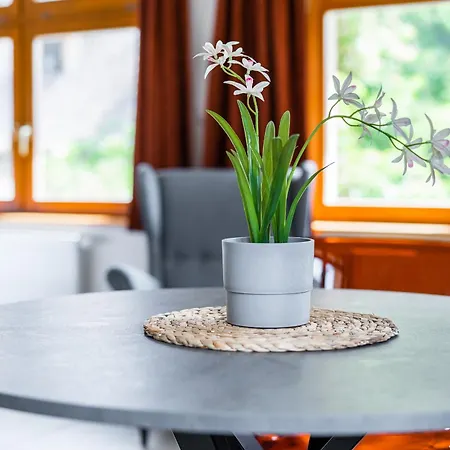 V Podebradech 公寓