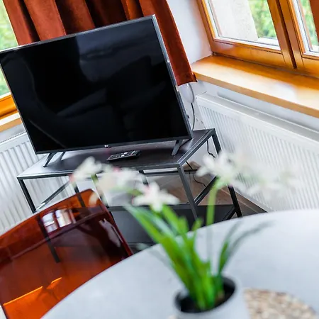 公寓 V Podebradech *